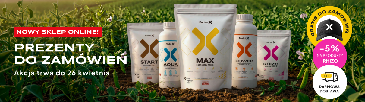 Image Slider - Slide