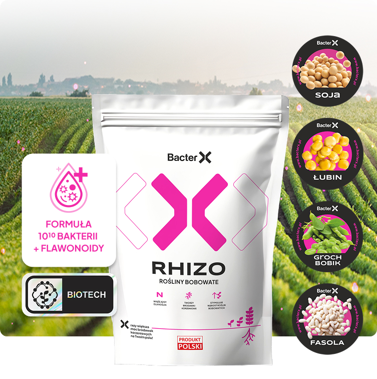 Seria X Rhizo
