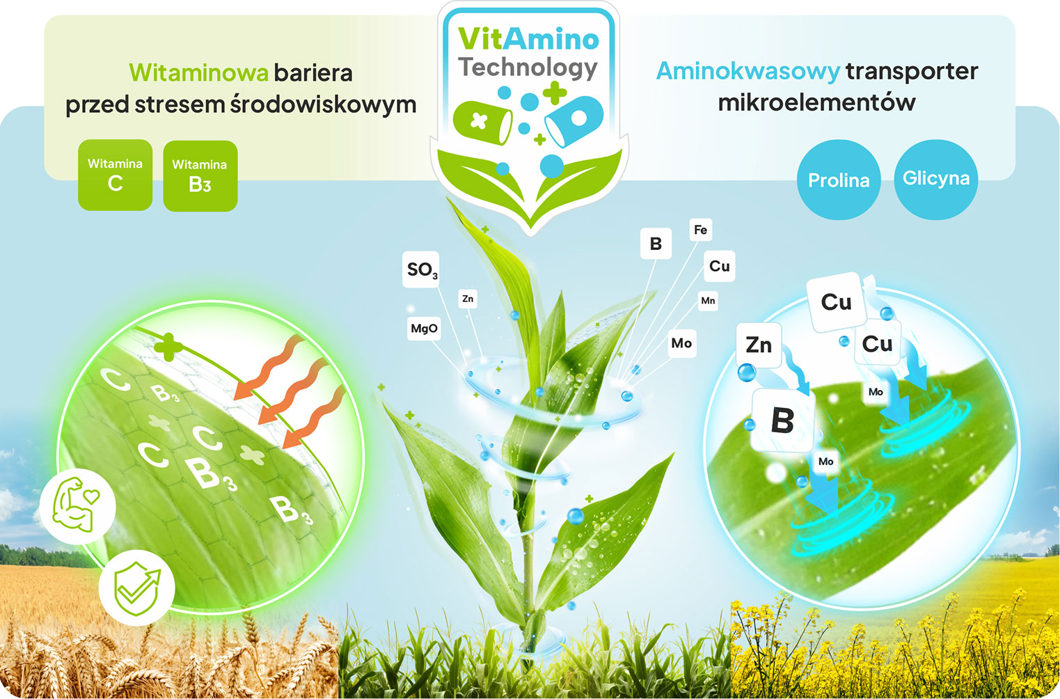 Technologia vitamino