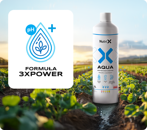 Formuła 3XPOWER