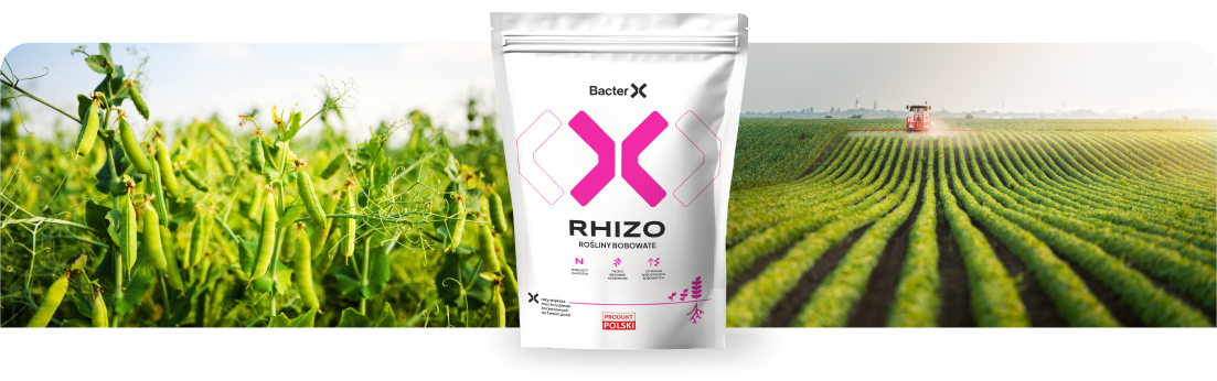 BacterX Rhizo