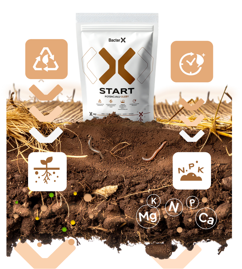 Optymalna regeneracja po zbiorach